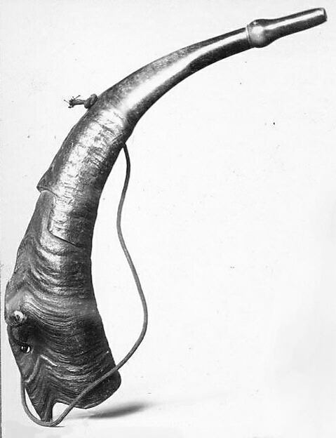 Reed Horn